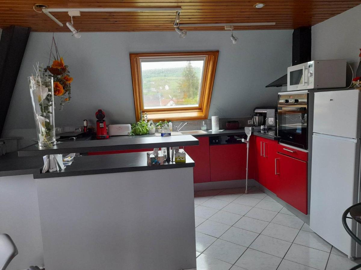 Gite Le Jardin De Hermolsheim. Alsace Tres Spacieux Mutzig Exteriör bild