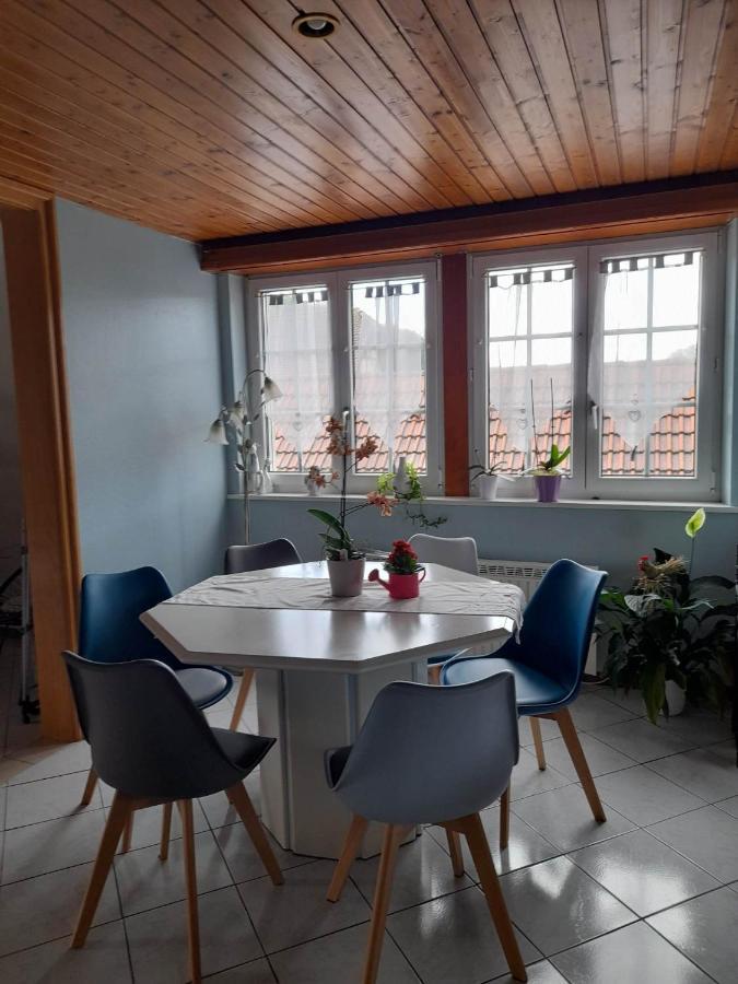 Gite Le Jardin De Hermolsheim. Alsace Tres Spacieux Mutzig Exteriör bild