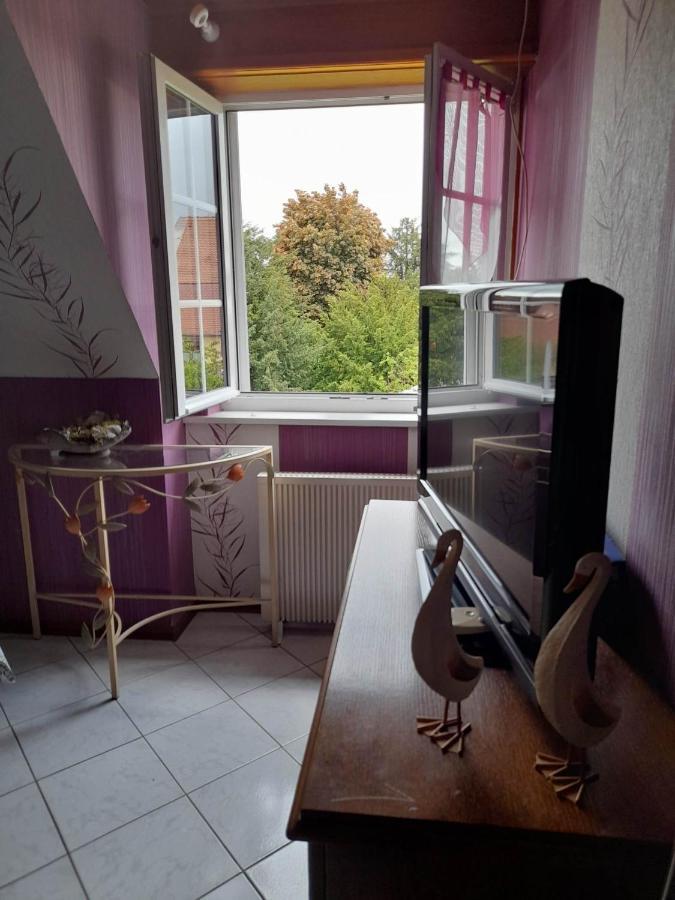 Gite Le Jardin De Hermolsheim. Alsace Tres Spacieux Mutzig Exteriör bild