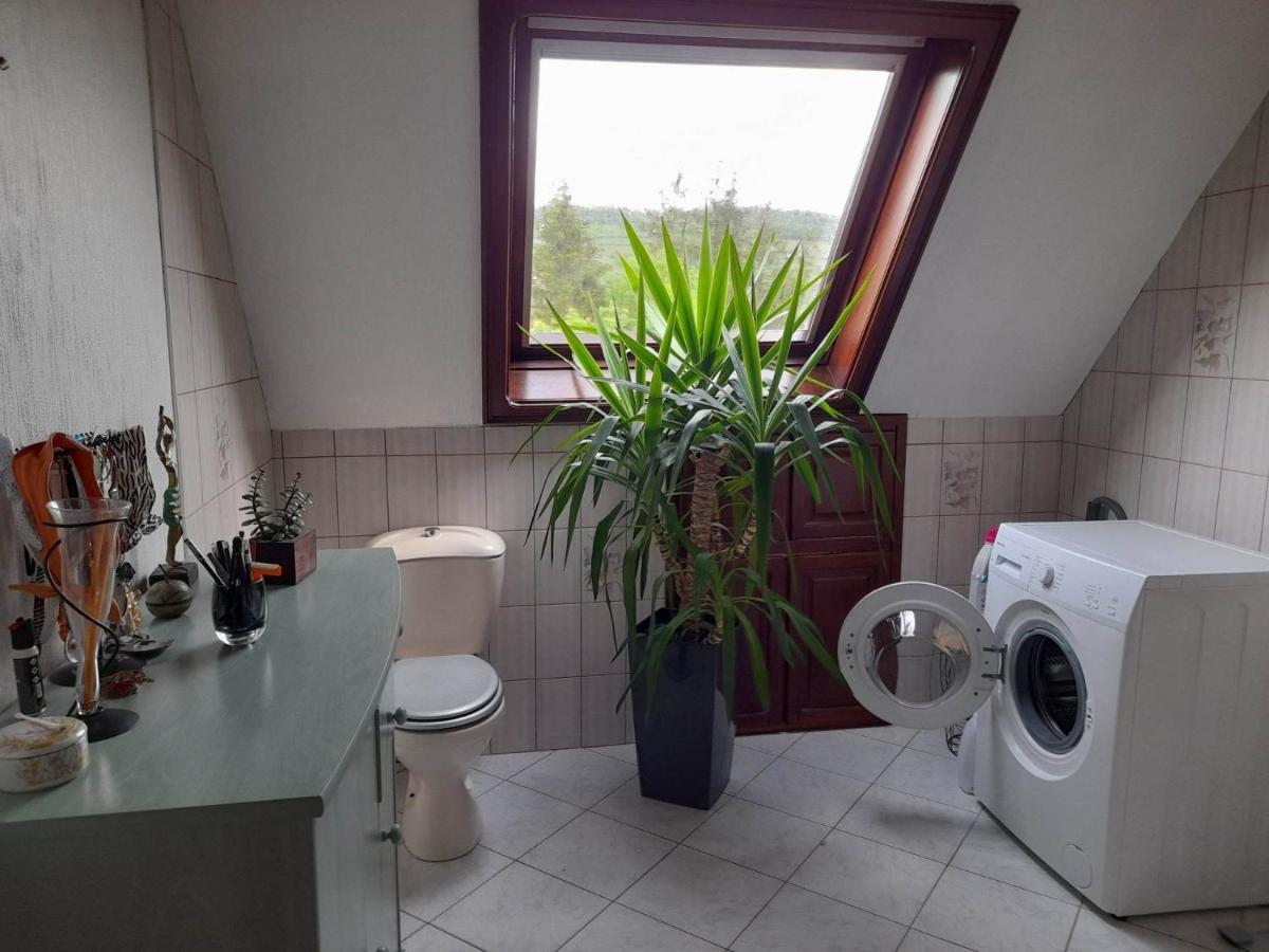 Gite Le Jardin De Hermolsheim. Alsace Tres Spacieux Mutzig Exteriör bild