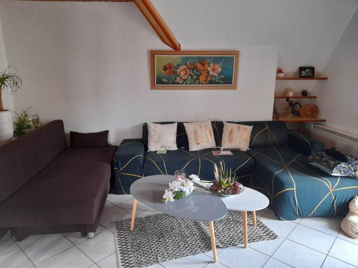 Gite Le Jardin De Hermolsheim. Alsace Tres Spacieux Mutzig Exteriör bild